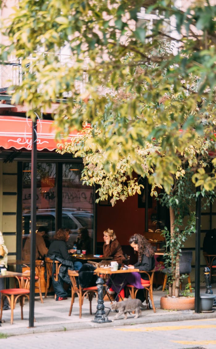 hero-img Charming urban cafe scene with people enjoying leisure time outdoors under trees.